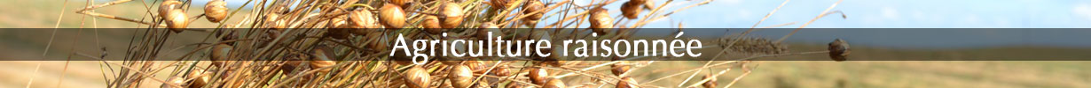 matières naturelles issues de l'agriculture raisonnée