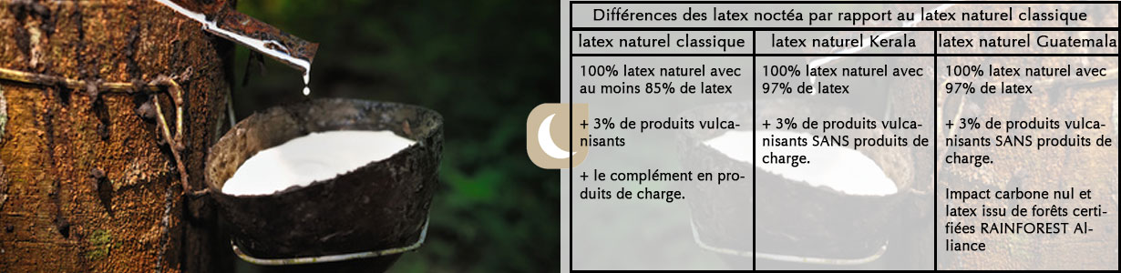 comparaison latex naturel matelas bio