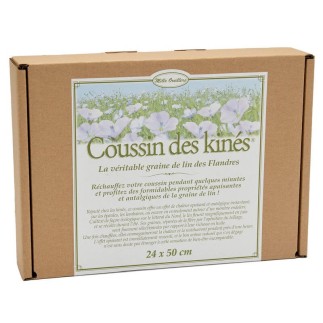 Coussin Kiné en Balles d'Épeautre | Soutien Ergonomique - Noctéa