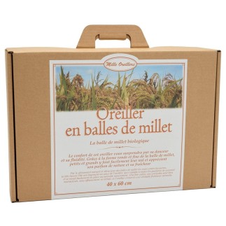 Oreiller en balle de millet 60x40