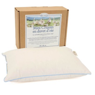 Oreiller duvet d'oie Mille Oreillers 30x40