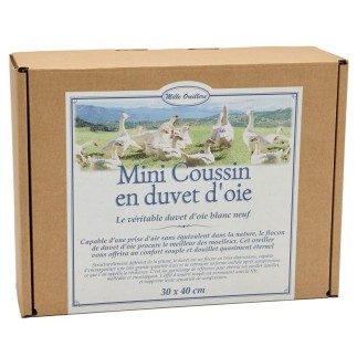 Oreiller duvet d'oie Mille Oreillers 30x40