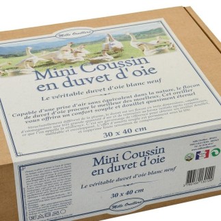 Oreiller duvet d'oie Mille Oreillers 30x40