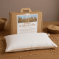 Oreiller en Millet bio - Mille Oreillers Oreiller en Millet bio - Mille Oreillers