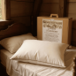 Oreiller duvets à l'ancienne - Mille Oreillers Oreiller duvets à l'ancienne - Mille Oreillers