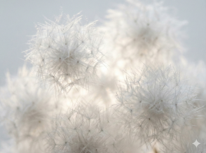 Duvet : tout savoir sur cette matière