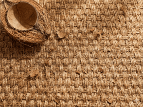 Fibre de coco : tout savoir sur cette matière