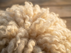 Laine vierge : tout savoir sur cette matière